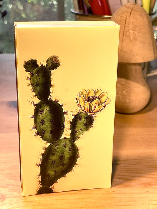 Cactus covered matchbox