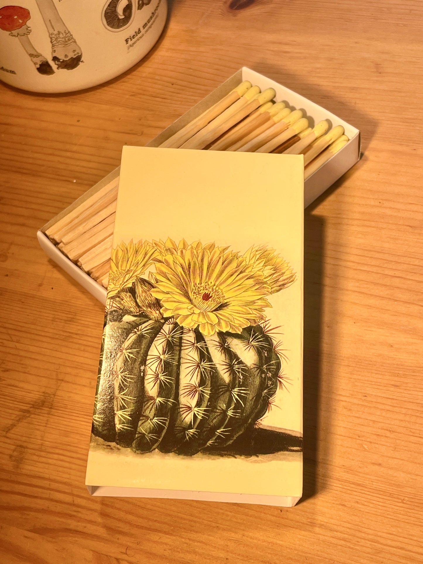 Cactus covered matchbox